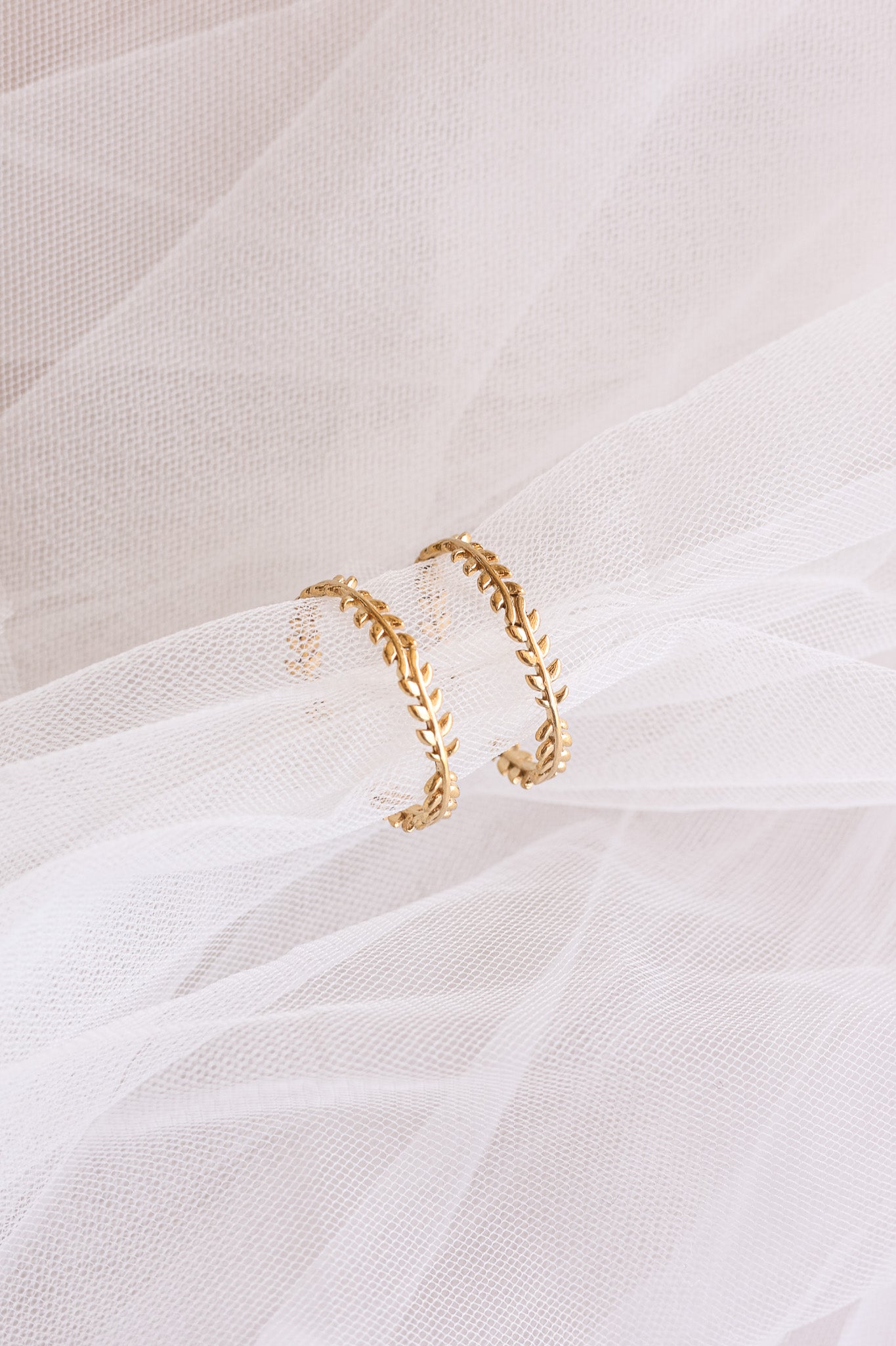 Ivy Hoop
