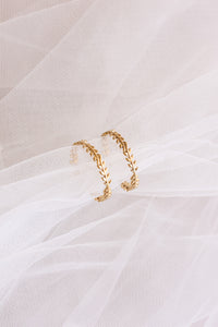Ivy Hoop