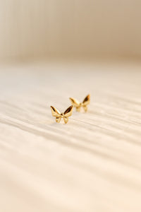 Tiny Butterfly Stud in Gold